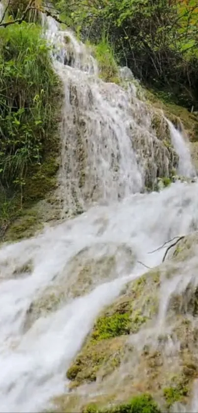 Cascading waterfall surrounded by lush greenery.