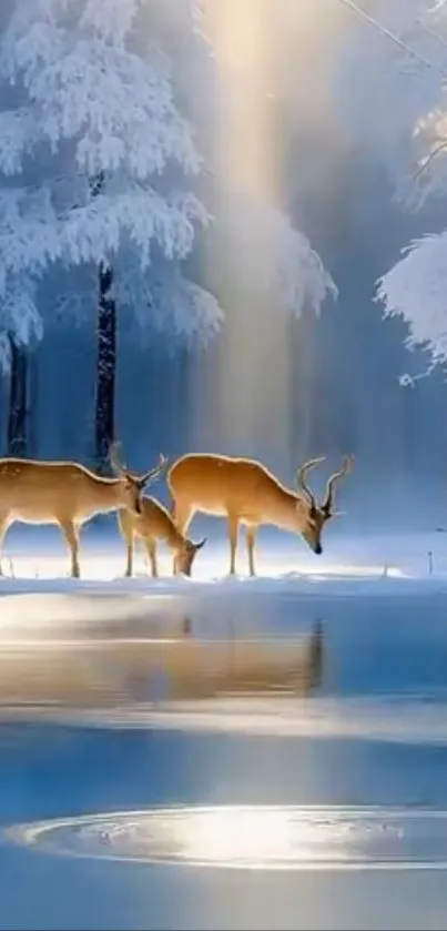 Deer in a snowy forest with sunlight streaming down.