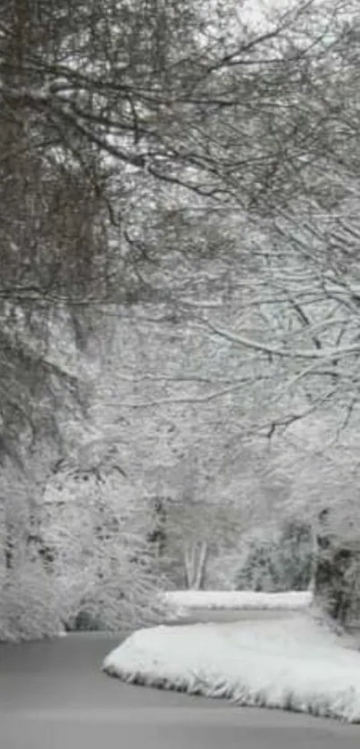 Snowy river with trees in winter tranquility.