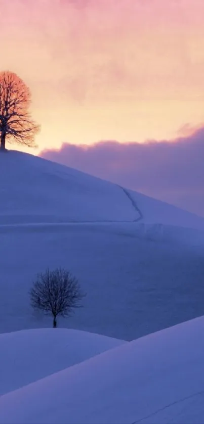 Snow-covered hills with trees at sunset, featuring vibrant purple and pink skies.