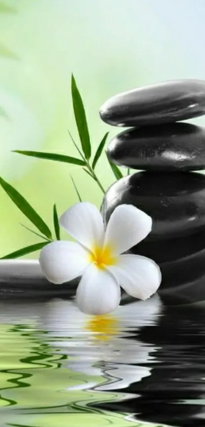 Calm zen stones with flower and water reflection.