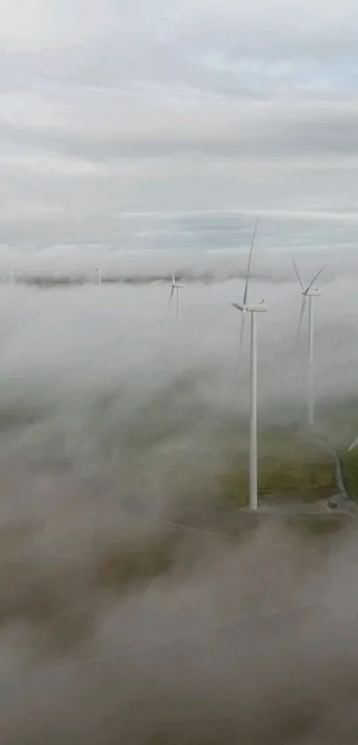Tree Cloud Fog Live Wallpaper