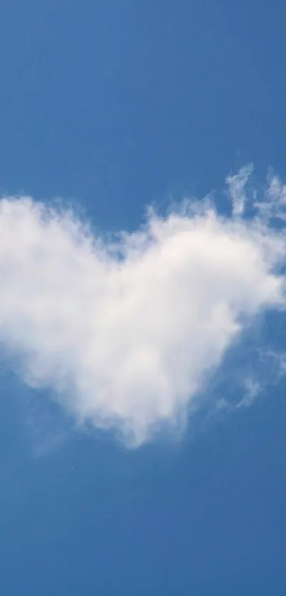 Tree Cloud Sky Live Wallpaper