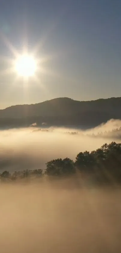 Tree Fog Sky Live Wallpaper