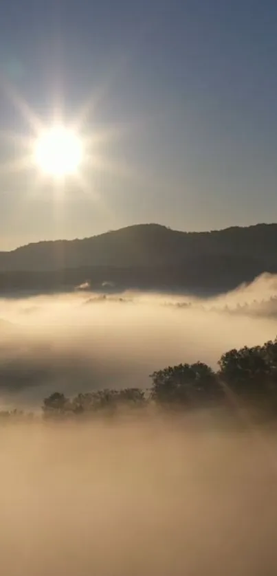 Tree Fog Sky Live Wallpaper