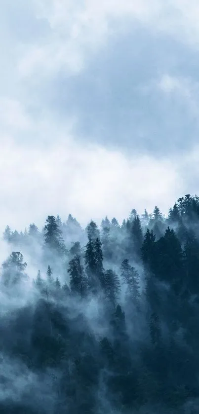 Tree Landscape Cloud Live Wallpaper
