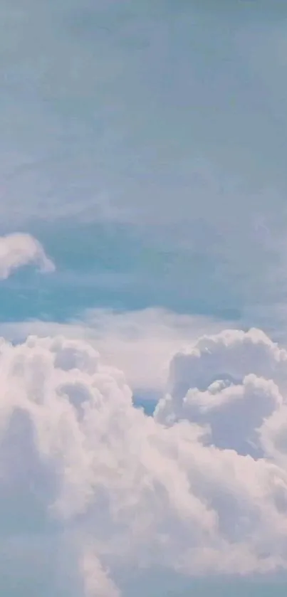 Tree Landscape Cloud Live Wallpaper