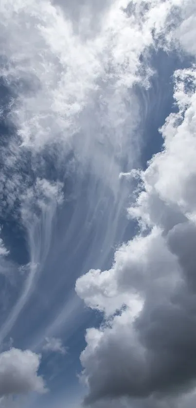 Tree Landscape Cloud Live Wallpaper