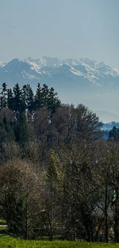 Tree Mountain Forest Live Wallpaper
