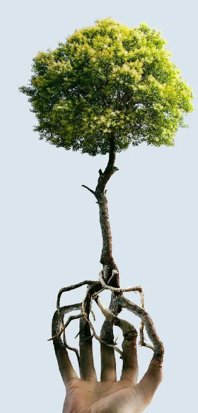 Hand holding a tree blending into roots against a light gray background.