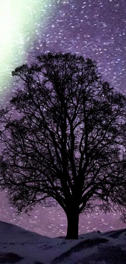 Silhouette of a tree with northern lights in a purple night sky.