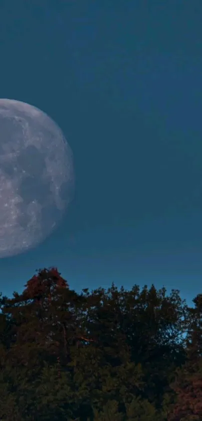 Tree Sky Moon Live Wallpaper