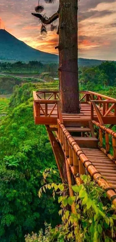 Treehouse overlooking green forest with mountain in sunset background.