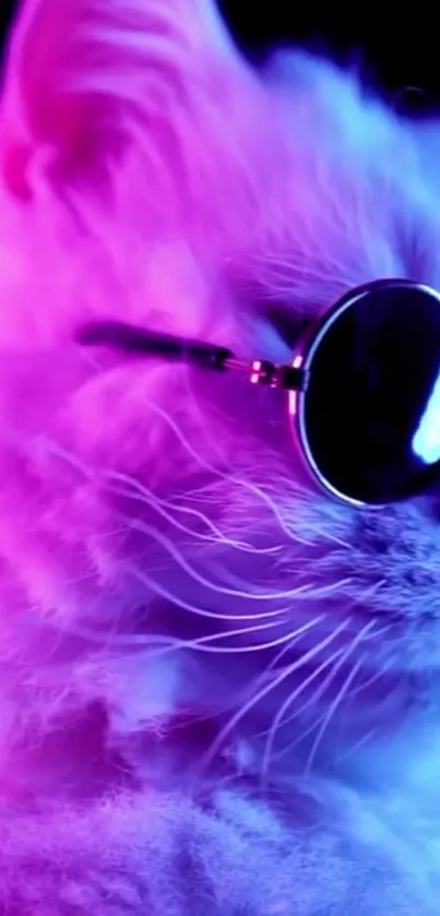 Cool cat with sunglasses in neon pink light.