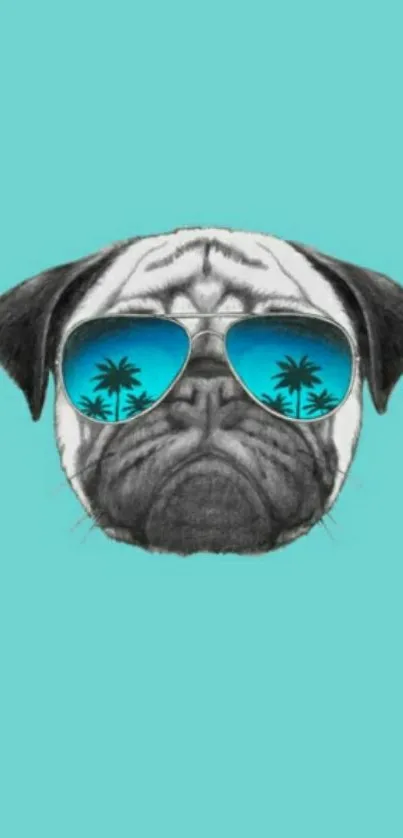 Cartoon pug with sunglasses on turquoise background.