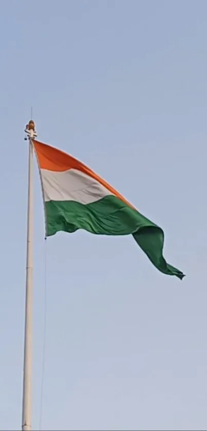 Tricolor flag waving against a clear blue sky.