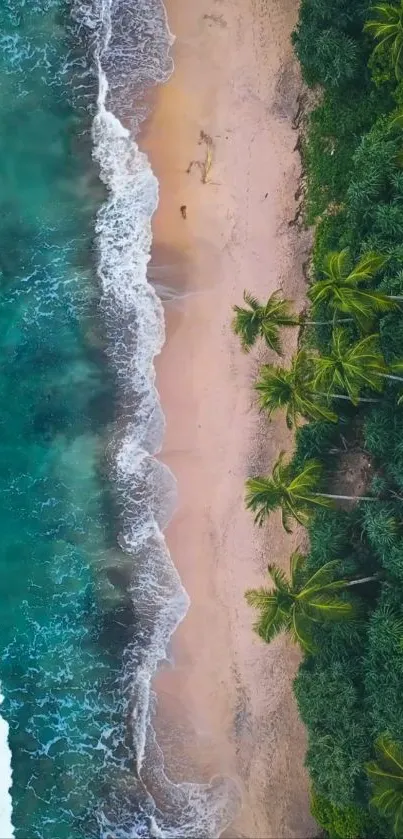 Aerial view of tropical beach with palm trees and turquoise ocean waves.