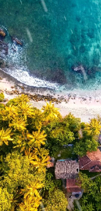 Aerial view of a tropical beach with lush greenery and turquoise ocean waves.