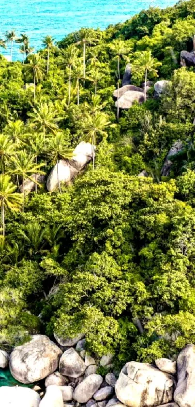 Aerial view of a lush tropical beach with vibrant green foliage and clear blue waters.