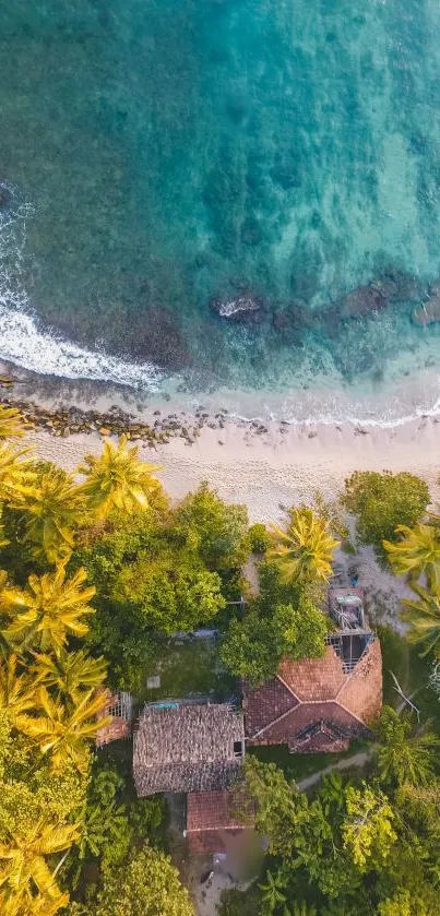 Aerial view of a tropical beach with palm trees and clear waters.