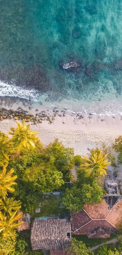 Aerial view of tropical beach with ocean and palm trees.