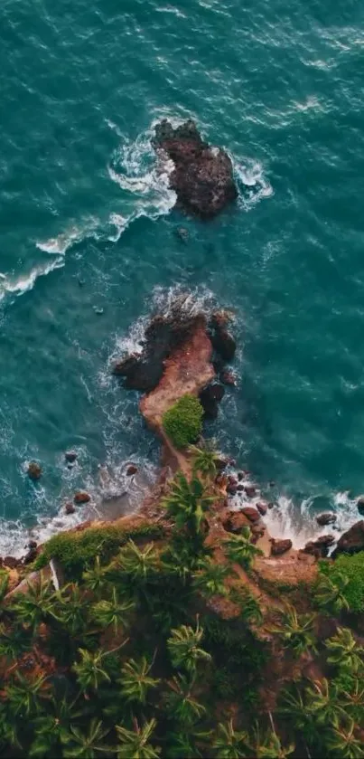 Aerial view of a tropical beach with blue ocean and lush green palm trees.