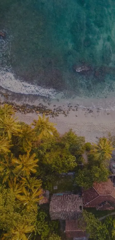 Aerial view of a tropical beach with palm trees and clear ocean waves.