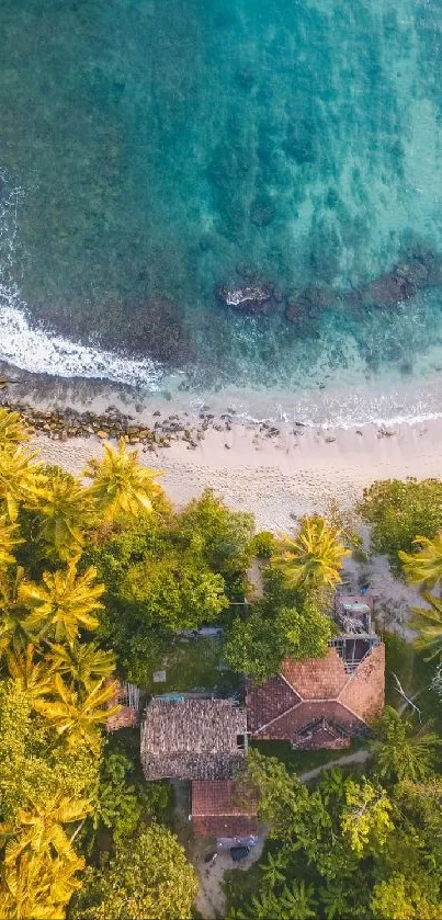 Aerial view of tropical beach with ocean and palm trees.