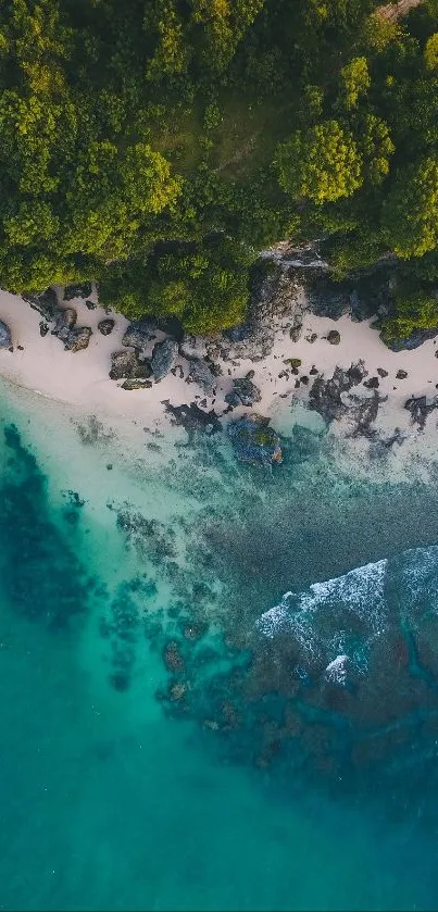 Aerial view of a tropical beach with lush forest and teal ocean waters.