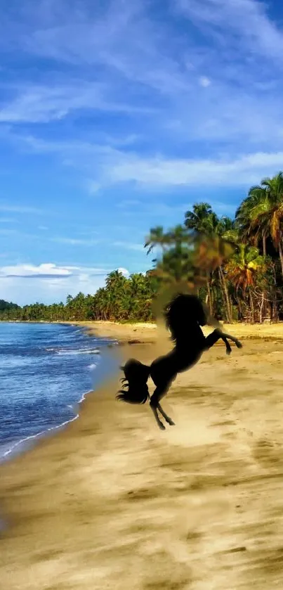 Silhouette of a horse on a tropical beach with blue sky and palm trees.