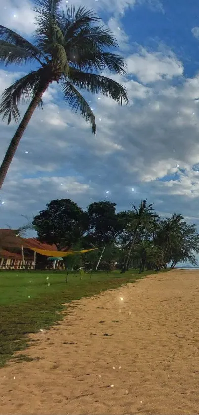 Serene tropical beach at sunrise with palm trees and blue sky.