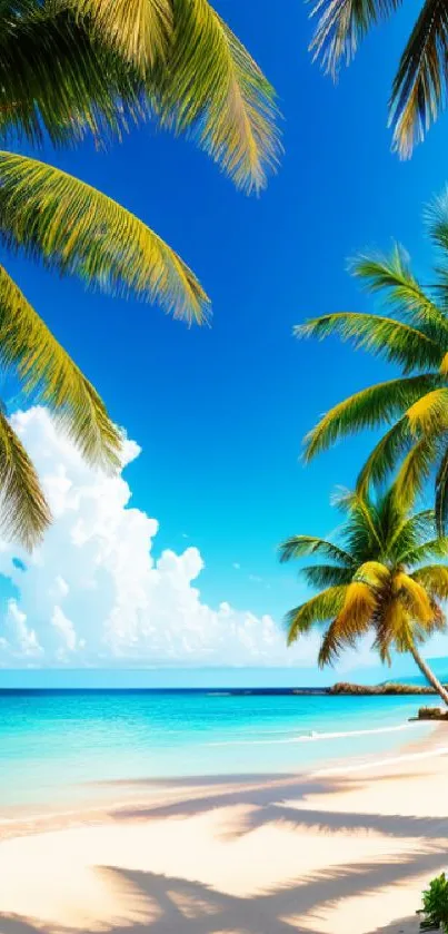 Tropical beach with palm trees and clear blue skies.