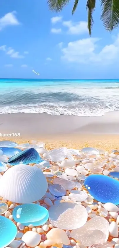 Serene tropical beach with seashells on sand under blue skies.