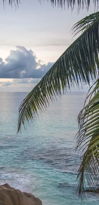 Tropical beach scene with palm trees and ocean at sunset.