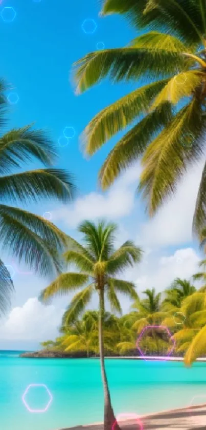 Tropical beach with palm trees and turquoise waters.