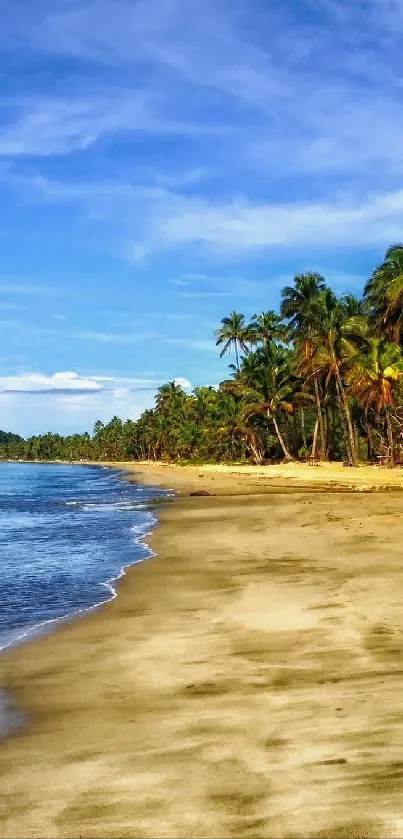 A beautiful tropical beach with palm trees under a clear blue sky.