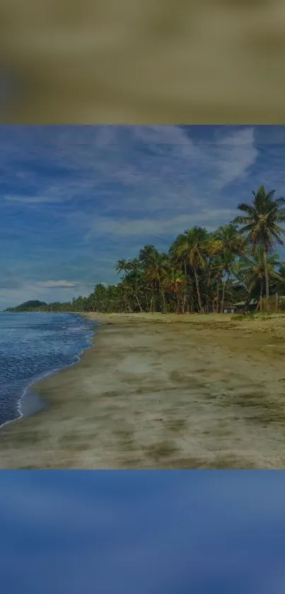 Serene tropical beach with palm trees and blue sky wallpaper.