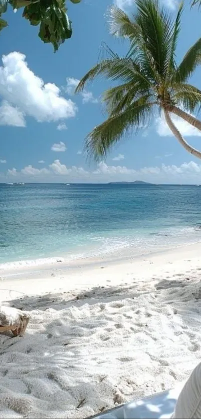 Tropical beach with palm trees and blue ocean under a clear sky.