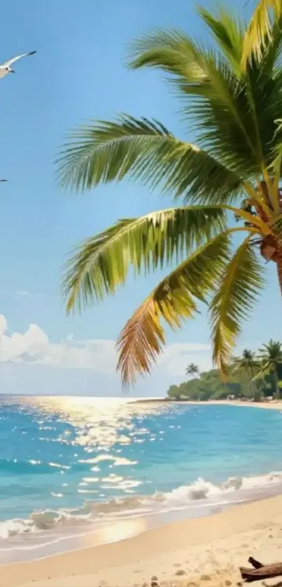 Tropical beach with palm tree and ocean waves.