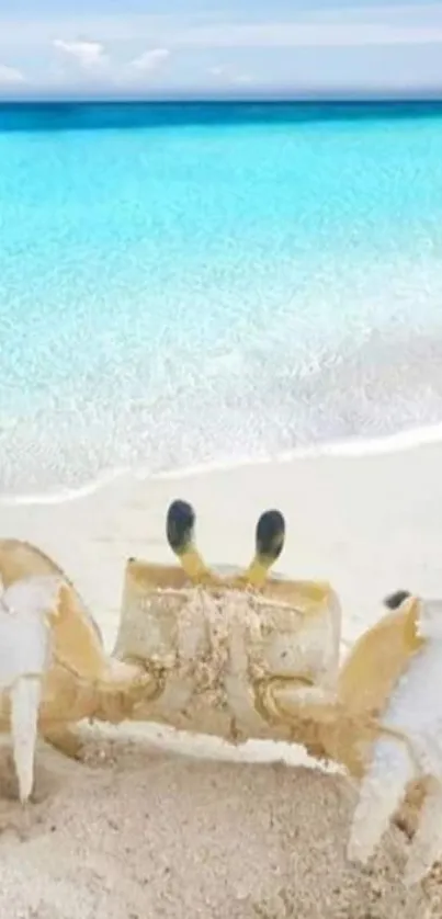 Crab on white sandy beach with azure blue ocean.