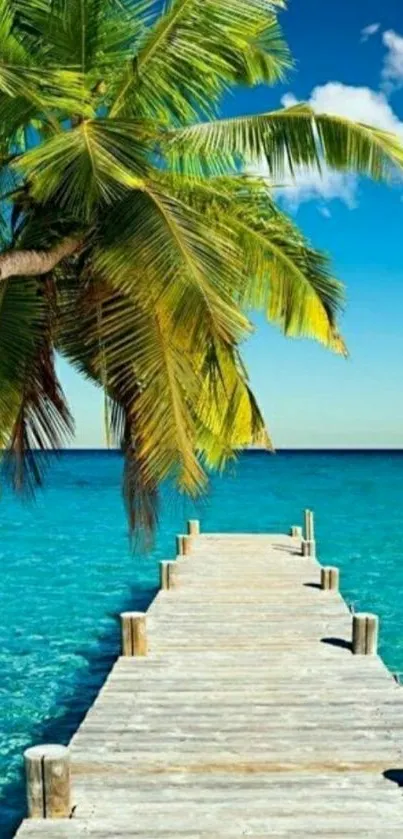 Tropical beach dock with ocean and palm trees.