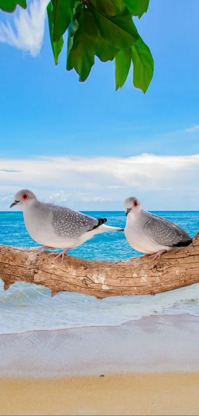 Two birds on a log at a beach with blue sky.