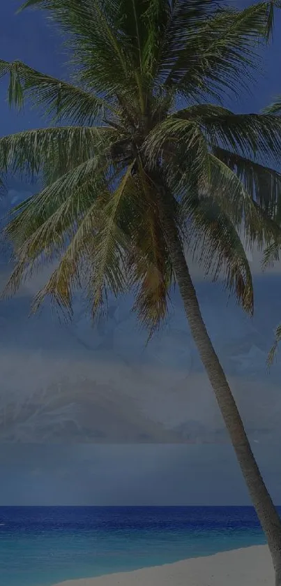 Tropical beach with palm tree under blue sky.