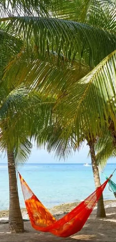 Tropical beach with hammocks hanging between swaying palm trees by the ocean.