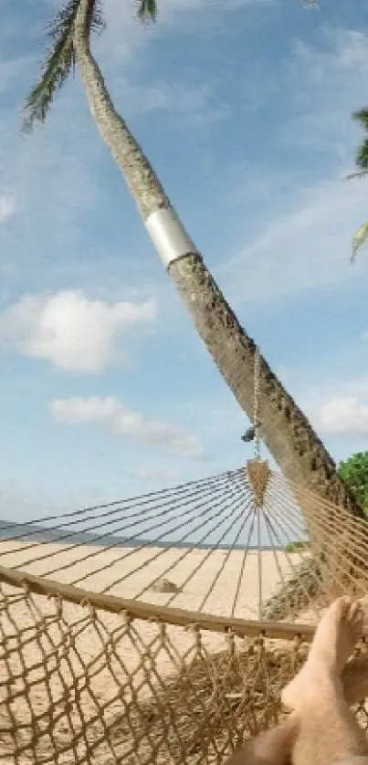 Relaxing in a hammock on a tropical beach with palm trees and ocean view.