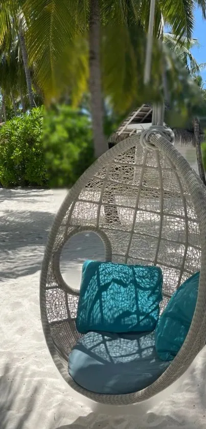 Rattan hanging chair on a tropical beach with palm trees in the background.