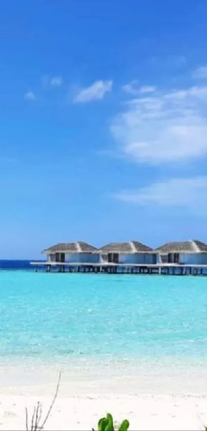 Tropical beach with blue sky and overwater bungalows.