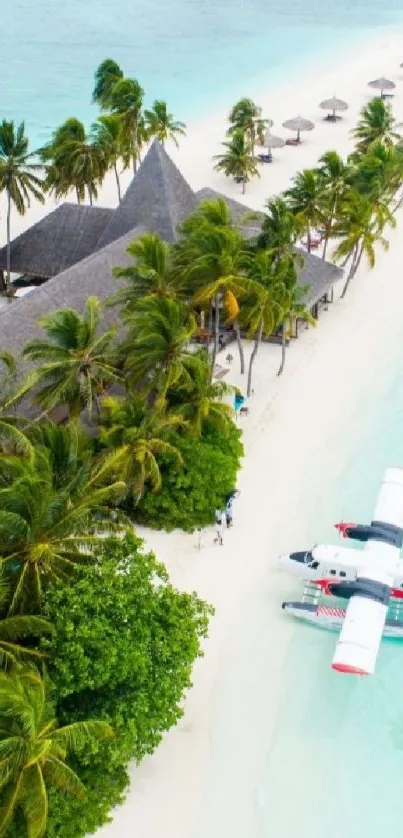 Aerial view of a tropical beach with palm trees and a seaplane docked on shore.