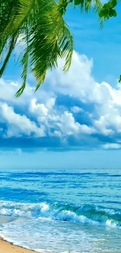 Tropical beach with azure waters, palm trees, and blue sky.