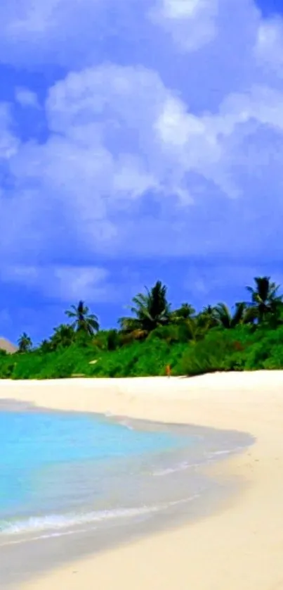 Tropical beach with clear blue water, golden sand, and lush green palm trees.